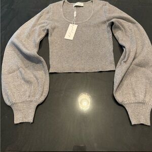 Petal & Pup Crop Top Sweater